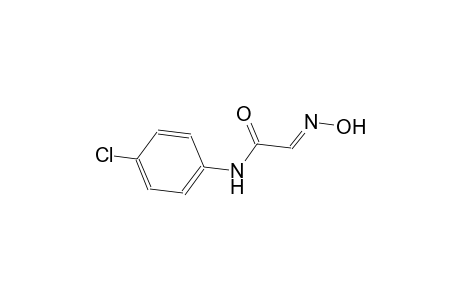 (2E)-N-(4-chlorophenyl)-2-(hydroxyimino)ethanamide