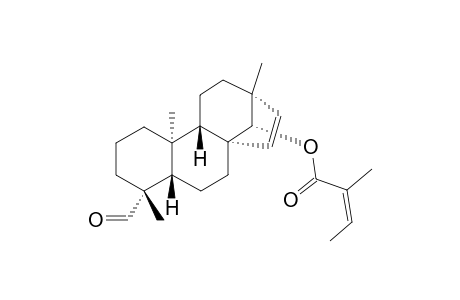 ENT-14-BETA-ANGELOYLOXYBEYER-15-EN-19-AL