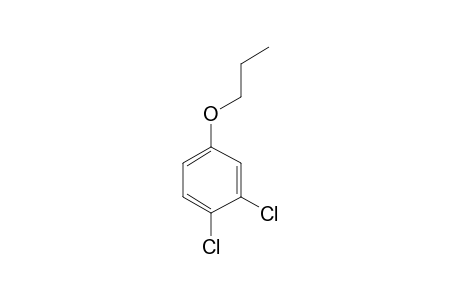 3,4-Dichlorophenol, N-propyl ether