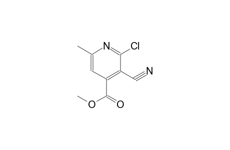 4-Pyridinecarboxylic acid, 2-chloro-3-cyano-6-methyl-, methyl ester