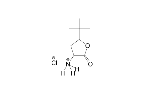 2-(TERT.-BUTYL)-1-OXOTETRAHYDROFURANYL-4-AMINO-HYDROCHLORIDE