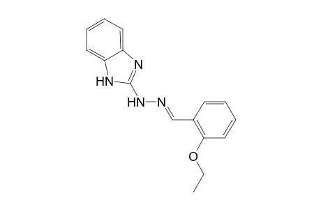 1H-benzimidazol-2-yl-[(E)-(2-ethoxybenzylidene)amino]amine