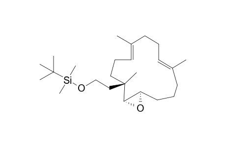 (1E,5E,9S,10R,11R)-9-[2-(tert-Butyldimethylsiloxy)ethyl]-10,11-epoxy-1,5,9-trimethylcyclotetradeca-1,5-diene
