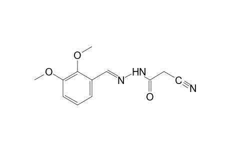 cyanoacetic acid, (2,3-dimethoxybenzylidene)hydrazide