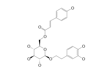 6'-O-COUMAROYL-1'-O-[2-(3,4-DIHYDROXYPHENYL)-ETHYL]-BETA-D-GLUCOPYRANOSIDE