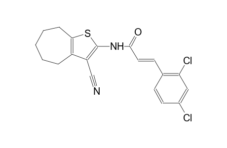 (2E)-N-(3-cyano-5,6,7,8-tetrahydro-4H-cyclohepta[b]thien-2-yl)-3-(2,4-dichlorophenyl)-2-propenamide
