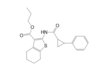 propyl 2-{[(2-phenylcyclopropyl)carbonyl]amino}-4,5,6,7-tetrahydro-1-benzothiophene-3-carboxylate