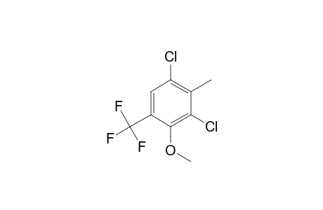 1,3-Dichloro-4-methoxy-2-methyl-5-(trifluoromethyl)benzene
