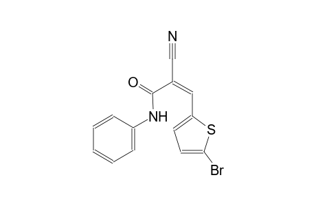 (2Z)-3-(5-bromo-2-thienyl)-2-cyano-N-phenyl-2-propenamide