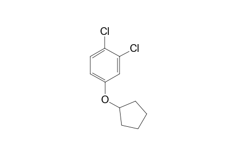 1,2-dichloro-4-(cyclopentoxy)benzene