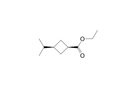 cis-3-Isopropylcyclobutanecarboxylate ethyl ester