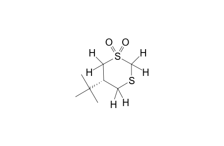 RAC-5-TERT.-BUTYL-1,3-DITHIANE-1,1-DIOXIDE