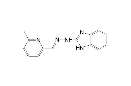 6-methyl-2-pyridinecarbaldehyde 1H-benzimidazol-2-ylhydrazone