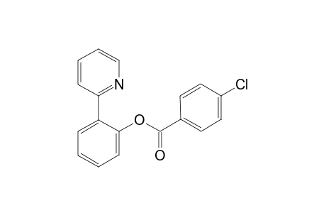 2-(Pyridin-2-yl)phenyl 4-chlorobenzoate