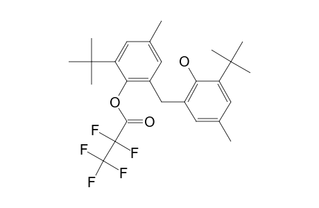 2,2'-Methylenebis(6-tert-butyl-4 methylphenol), o-pentafluoropropionyl-