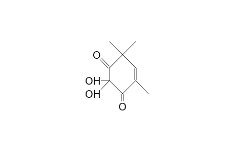 2,2-Dihydroxy-4,6,6-trimethyl-cyclohex-4-ene-1,3-dione