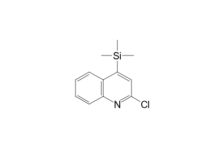 2-chloro-4-(trimethylsilyl)quinoline