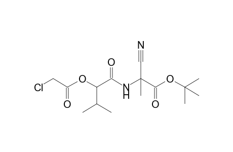 2-[[2-(2-chloro-1-oxoethoxy)-3-methyl-1-oxobutyl]amino]-2-cyanopropanoic acid tert-butyl ester