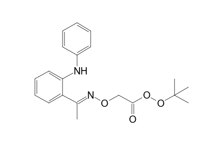 2-[(E)-1-(2-anilinophenyl)ethylideneamino]oxyethaneperoxoic acid tert-butyl ester