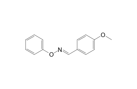 N-Phenoxy-[(4'-methoxyphenyl)metyl]-imine