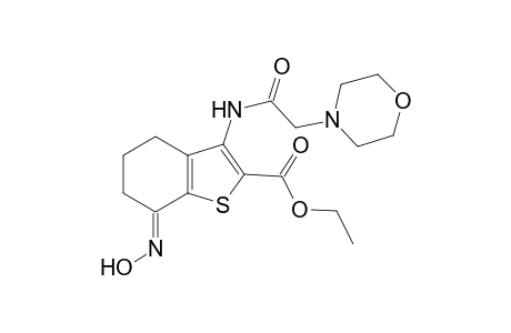Benzothiophene-2-carboxylic acid, 4,5,6,7-tetrahydro-7-hydroximino-3-[2-(4-morpholyl)-1-oxoethylamino]-, ethyl ester