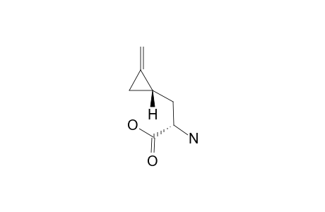 (2S,4S)-HYPOGLYCIN-A