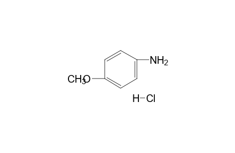 p-anisidine, hydrochloride