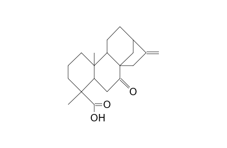 7-Oxo-kaur-16-en-19-oic acid