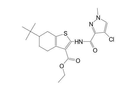 ethyl 6-tert-butyl-2-{[(4-chloro-1-methyl-1H-pyrazol-3-yl)carbonyl]amino}-4,5,6,7-tetrahydro-1-benzothiophene-3-carboxylate