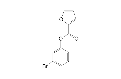 META-BROMOPHENYL-2-FUROATE