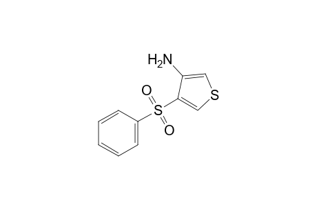 4-(phenylsulfonyl)-3-thiophenamine
