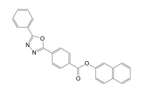 2-naphthyl 4-(5-phenyl-1,3,4-oxadiazol-2-yl)benzoate