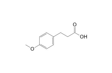 p-methoxyhydrocinnamic acid