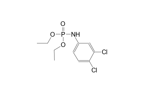 diethyl 3,4-dichlorophenylamidophosphate