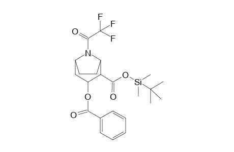 Cocaine-M (nor-BZE) TFATBDMS