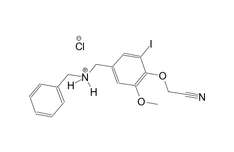 N-benzyl[4-(cyanomethoxy)-3-iodo-5-methoxyphenyl]methanaminium chloride