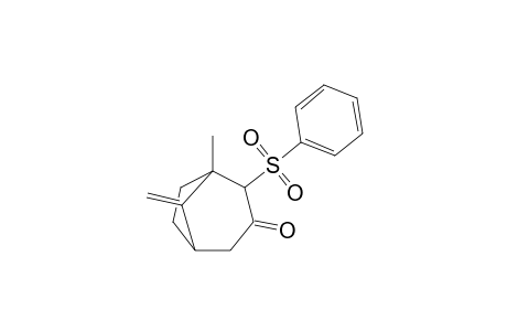 1-Methyl-8-methylene-2-(phenylsulfonyl)bicyclo[3.2.1]octan-3-one