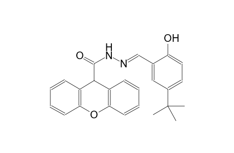 N'-[(E)-(5-tert-butyl-2-hydroxyphenyl)methylidene]-9H-xanthene-9-carbohydrazide