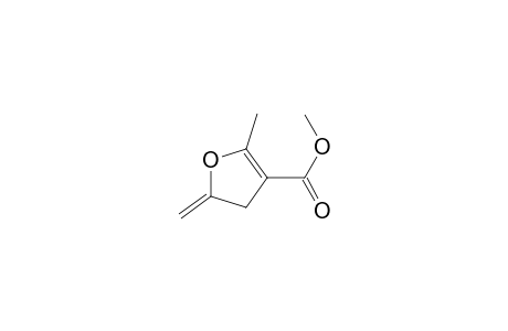 5-Methyl-2-methylene-3H-furan-4-carboxylic acid methyl ester