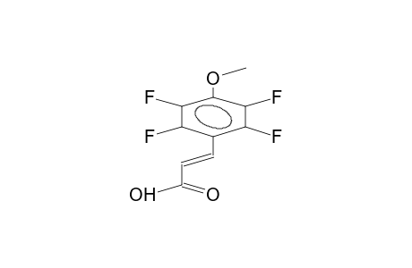 TRANS-4-METHOXY-2,3,5,6-TETRAFLUOROCINNAMIC ACID