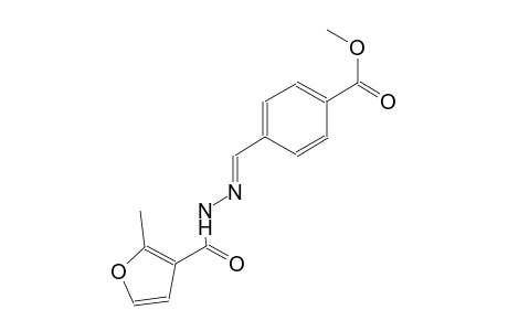 methyl 4-{(E)-[(2-methyl-3-furoyl)hydrazono]methyl}benzoate