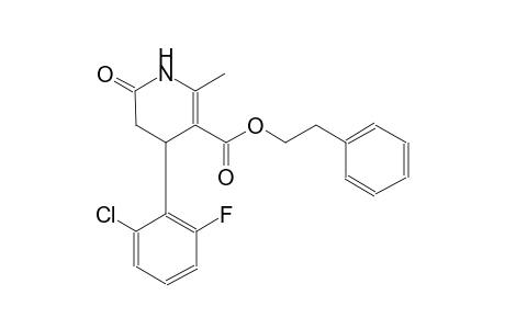 2-phenylethyl 4-(2-chloro-6-fluorophenyl)-2-methyl-6-oxo-1,4,5,6-tetrahydro-3-pyridinecarboxylate