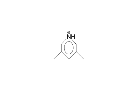 3,5-Dimethyl-pyridinium cation