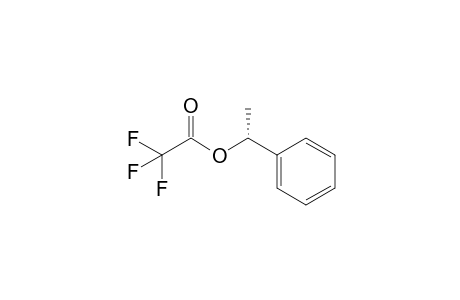 (R)-1-Phenylethyl trifluoroacetate