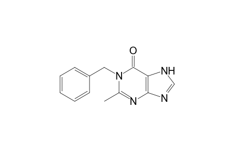 6H-Purin-6-one, 1,7-dihydro-2-methyl-1-(phenylmethyl)-