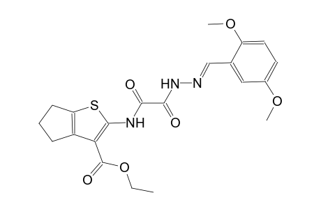 ethyl 2-{[[(2E)-2-(2,5-dimethoxybenzylidene)hydrazino](oxo)acetyl]amino}-5,6-dihydro-4H-cyclopenta[b]thiophene-3-carboxylate