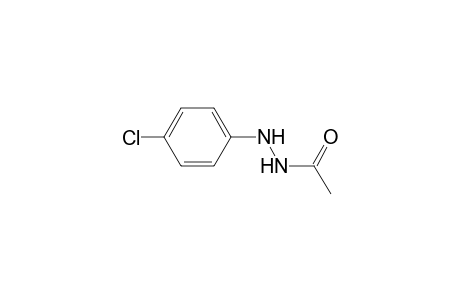 N'-(4-Chlorophenyl)acetohydrazide
