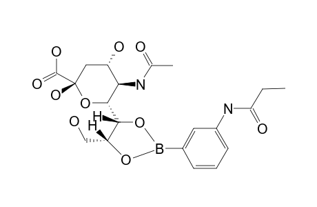 N-ACETYLNEURAMINIC-ACID*3-(PROPIONAMIDO)-PHENYLBORONIC-ACID;MAJOR-COMPLEX