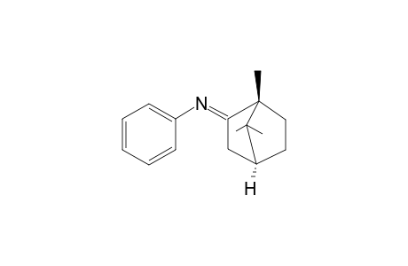 N-(1,7,7-TRIMETHYLBICYCLO-[2.2.1]-HEPTAN-2-YLIDENE)-ANILINE