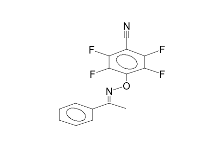 ACETOPHENONOXIME, O-4-CYANOTETRAFLUOROPHENYL ETHER